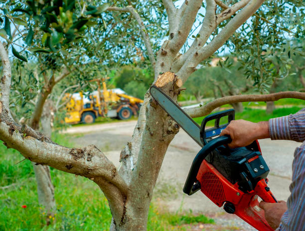  Dunstan, ME Tree Service Pros